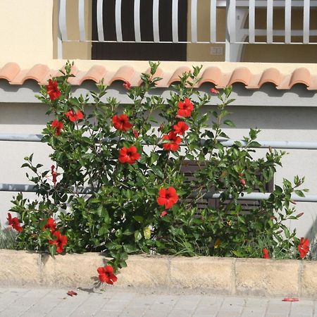 Aparthotel Baia Dei Canonici Villaggio Le Rocelle Exterior foto