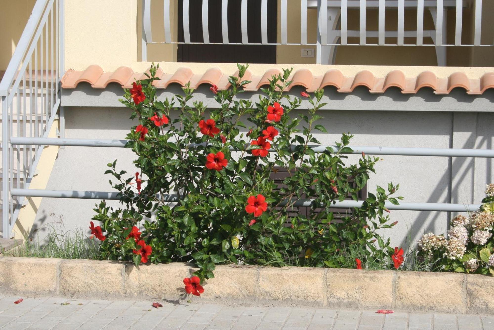 Aparthotel Baia Dei Canonici Villaggio Le Rocelle Exterior foto